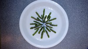 crustless asparagus quiche 2 pattern pic